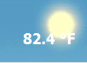 Forecast